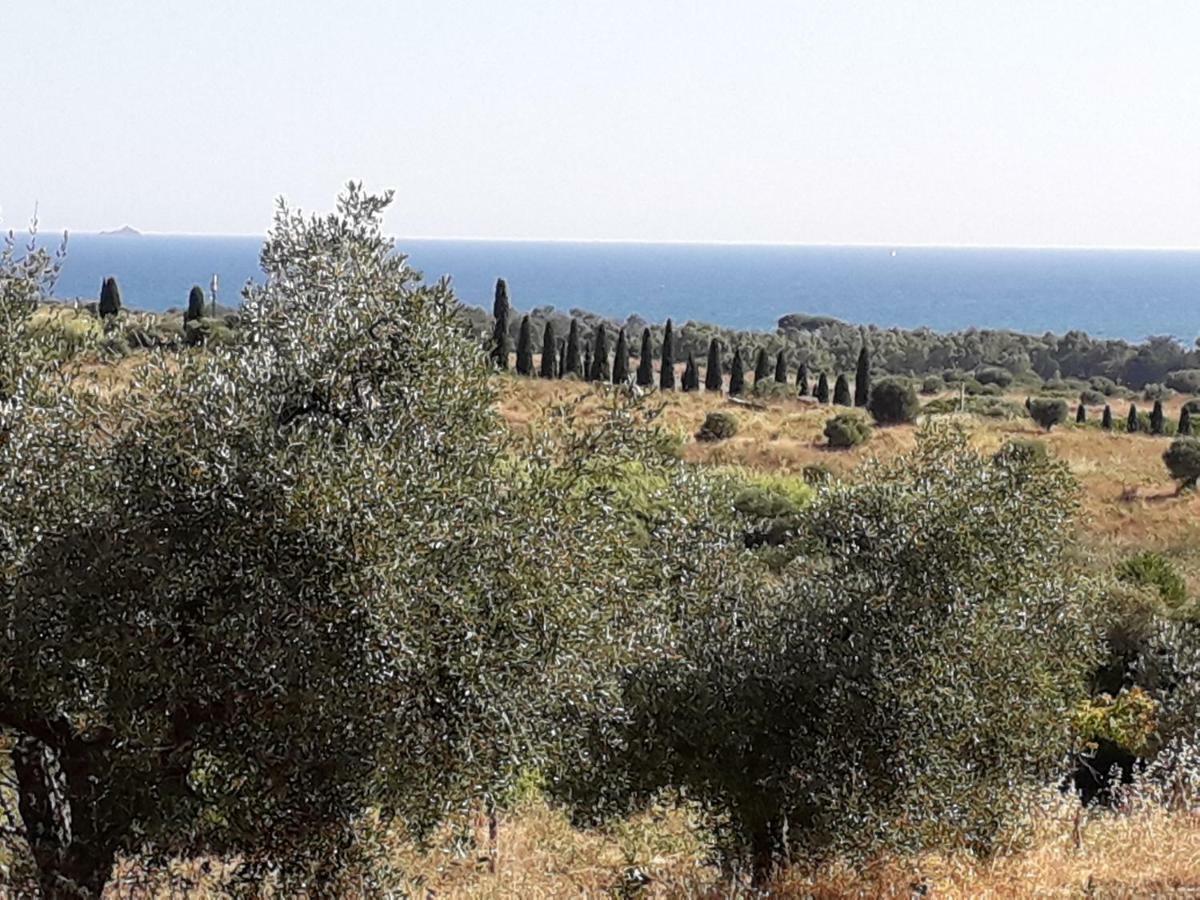 Alloggio per agriturismo Poggio All'olivo *