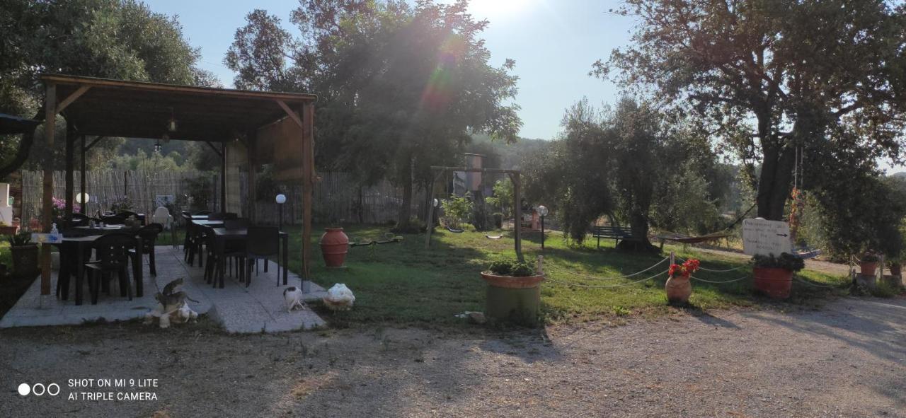 Poggio All'olivo Farm stay *