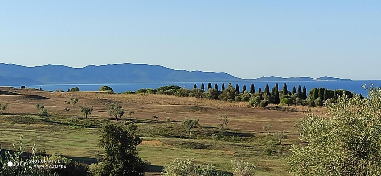 Poggio All'olivo *