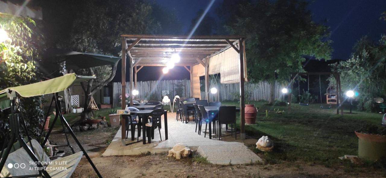 Farm stay Poggio All'olivo