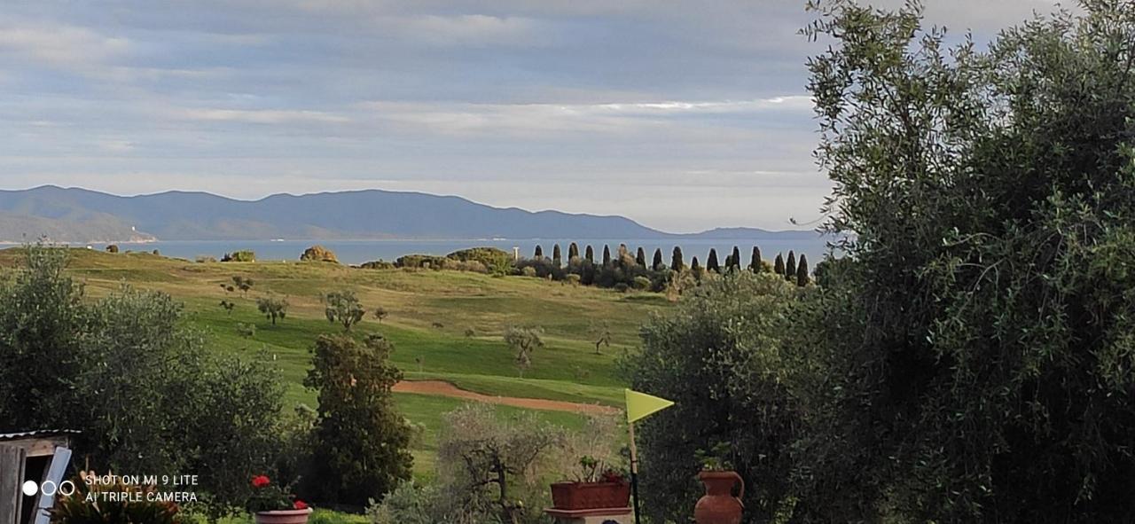 Poggio All'olivo *