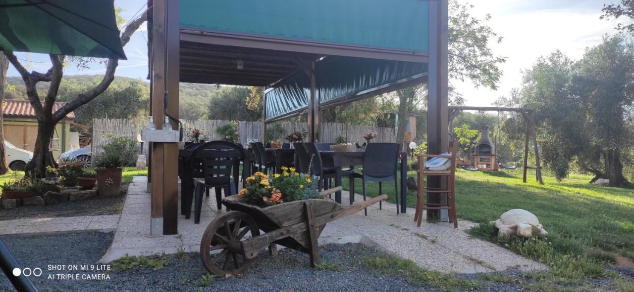 Poggio All'olivo Farm stay