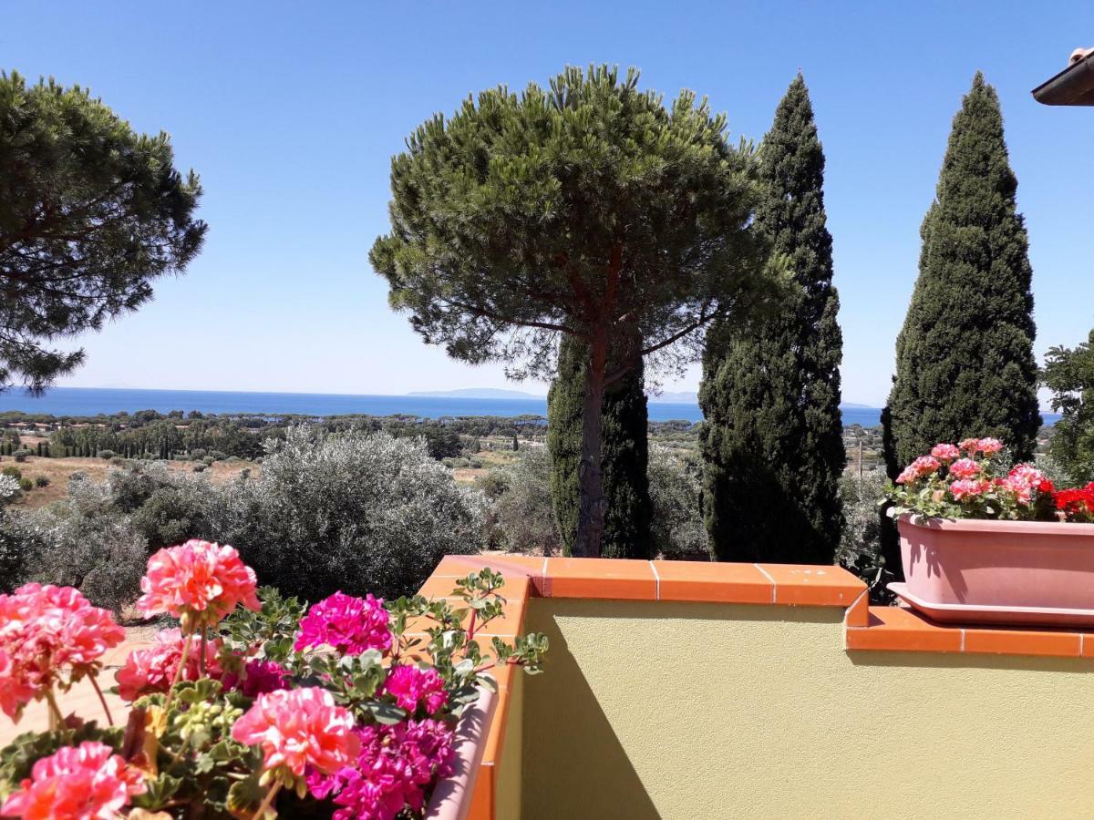 Farm stay Poggio All'olivo