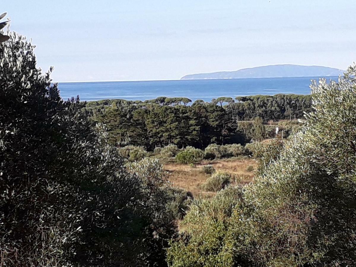 Poggio All'olivo * Follonica